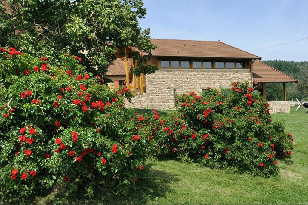 Les Perruchons Ancienne Grange Renovee Avec Soin Villa Ozolles Værelse billede