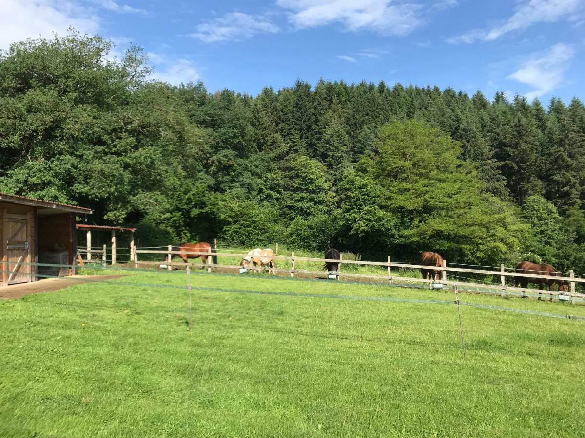 Les Perruchons Ancienne Grange Renovee Avec Soin Villa Ozolles Eksteriør billede